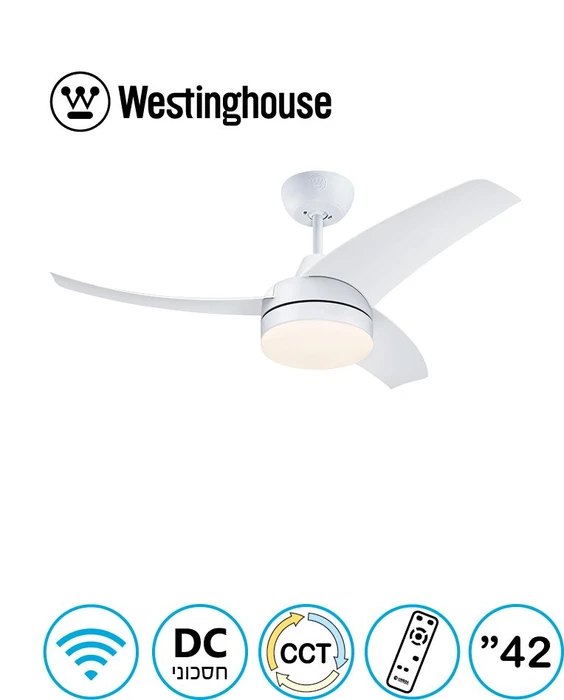 לונגווד + wifi