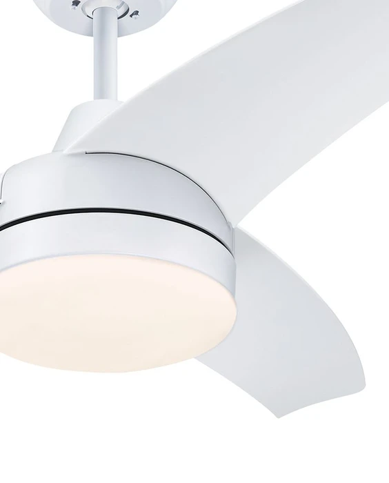 לונגווד + wifi