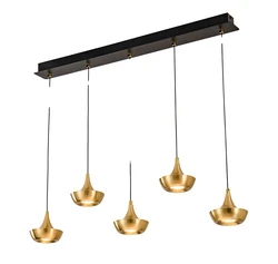 פרינס חמישיה