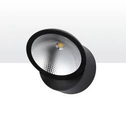 טוויקה שקוף