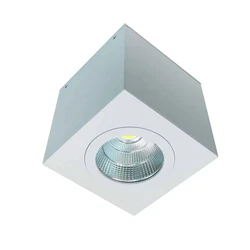 ג'וליאן קוביה